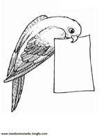 اینفوگراف زندگی چهارده معصوم (ع)